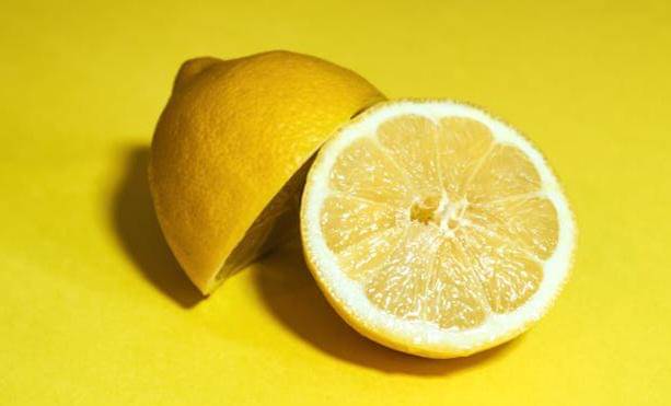 ilustrasi lemon