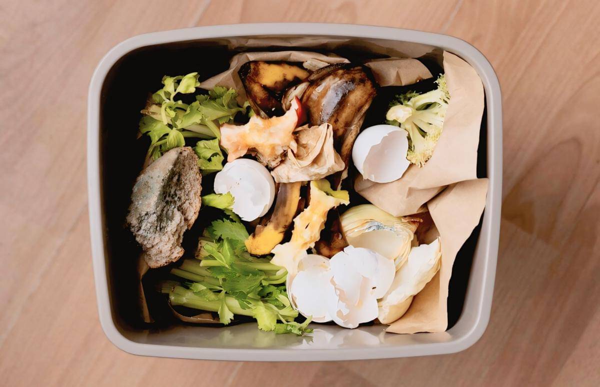 ilustrasi sampah organik