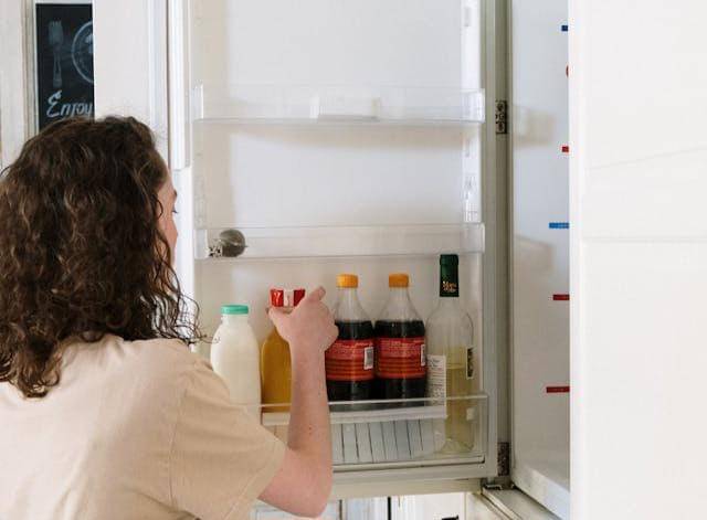 ilustrasi rak pintu kulkas