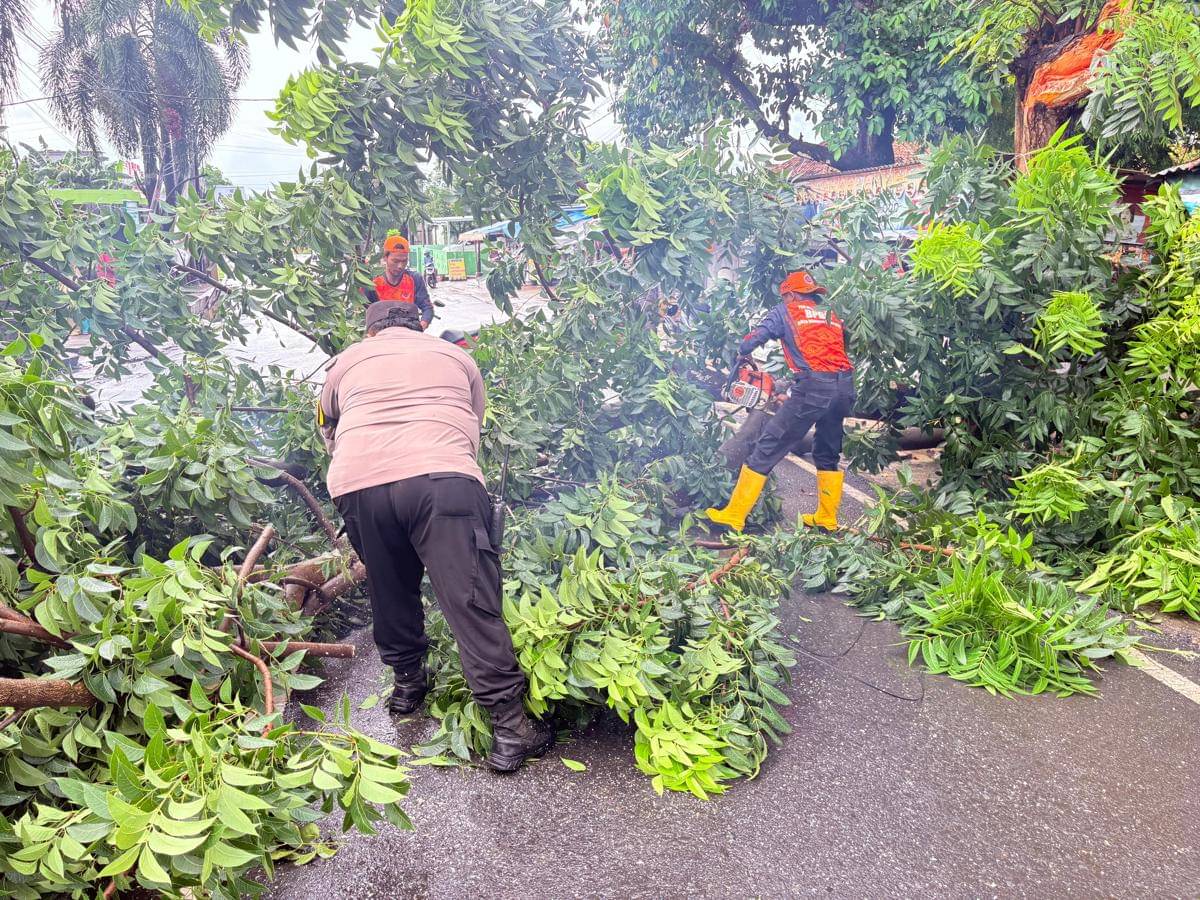 community.idntimes.com