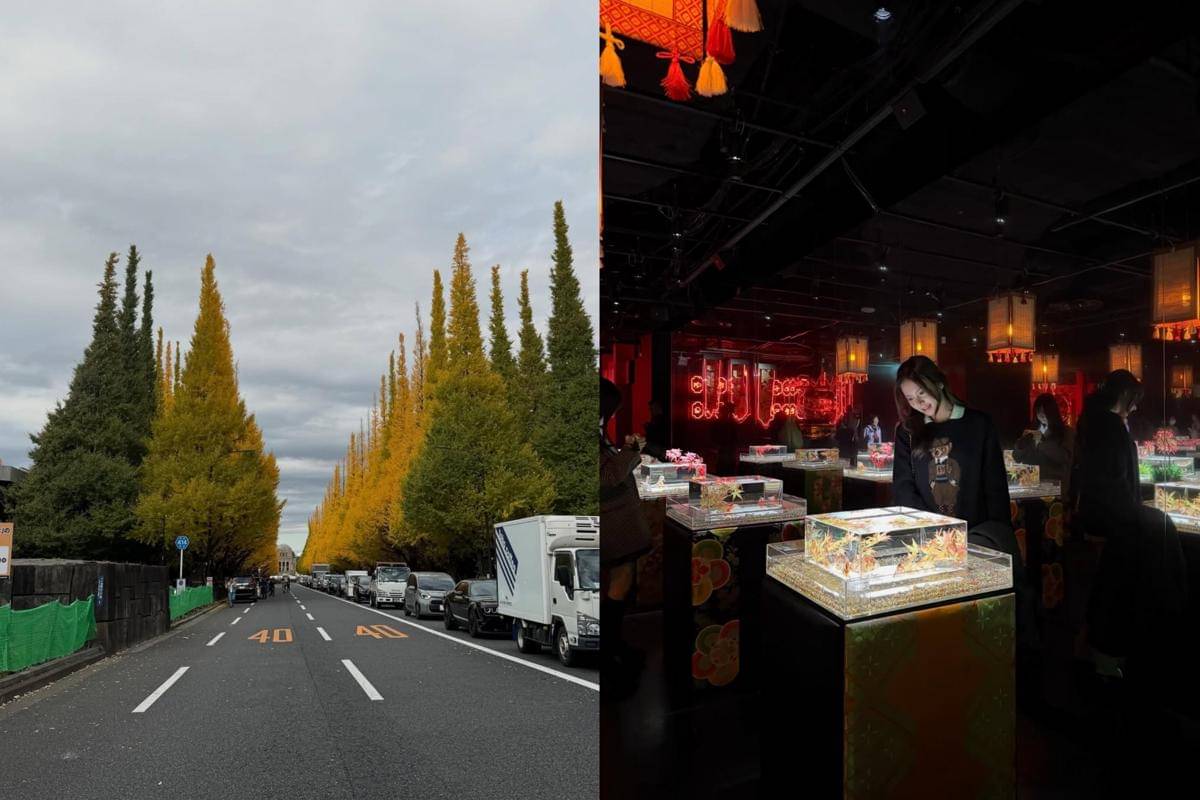 Meiji Jingu Gaien, Aoyama dan Art Aquarium Museum, Ginza
