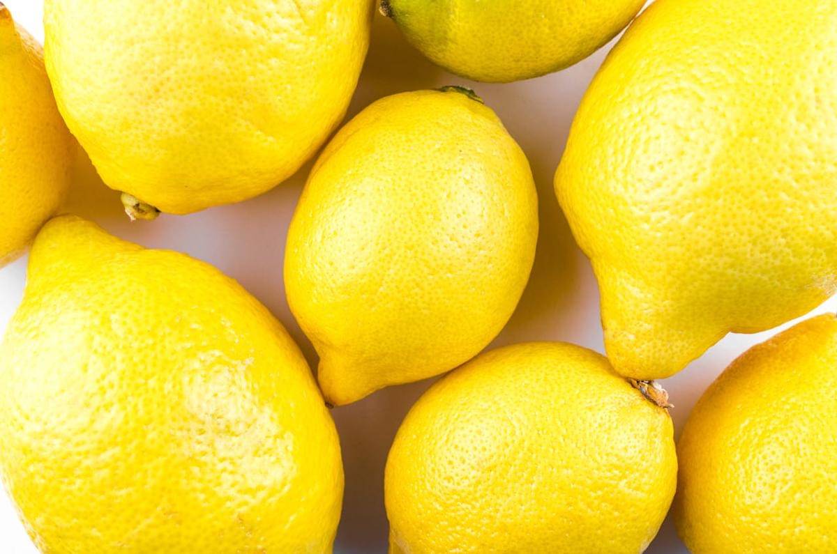 ilustrasi lemon