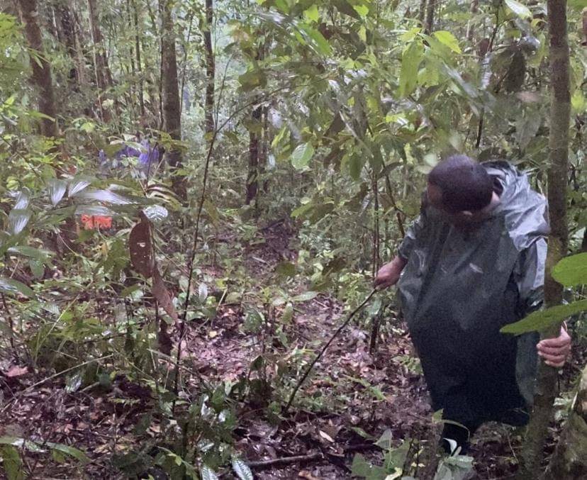 Jalur menuju lahan ganja dua hektare di Taman Nasional Gunung Leuser, Aceh. (IDN Times/Irfan Fathurohman