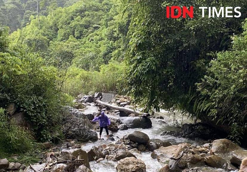Jalur menuju lahan ganja dua hektare di Taman Nasional Gunung Leuser, Aceh. (IDN Times/Irfan Fathurohman) 