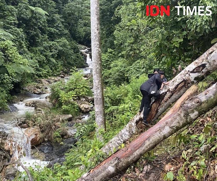 Jalur menuju lahan ganja dua hektare di Taman Nasional Gunung Leuser, Aceh. (IDN Times/Irfan Fathurohman