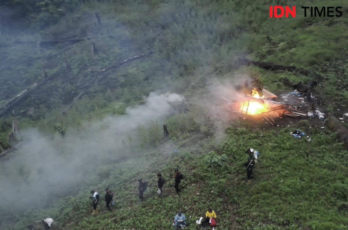 Ladang ganja dua hektare di Taman Nasional Gunung Leuser, Aceh. (IDN Times/Irfan Fathurohman) 