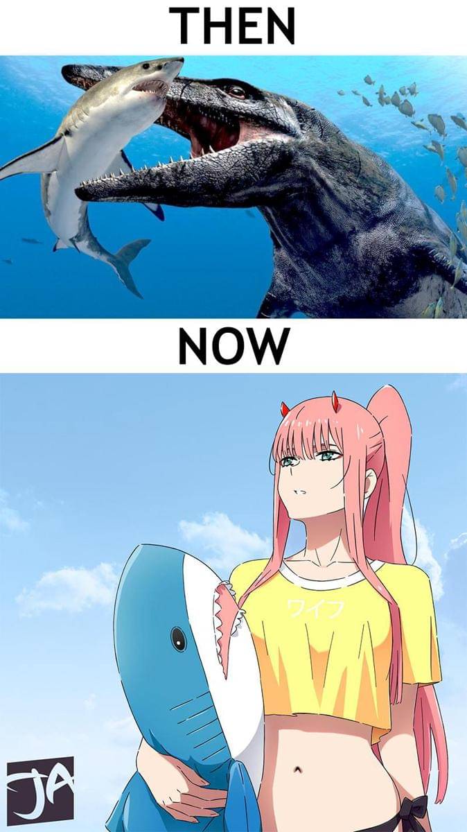 meme anime tentang hiu