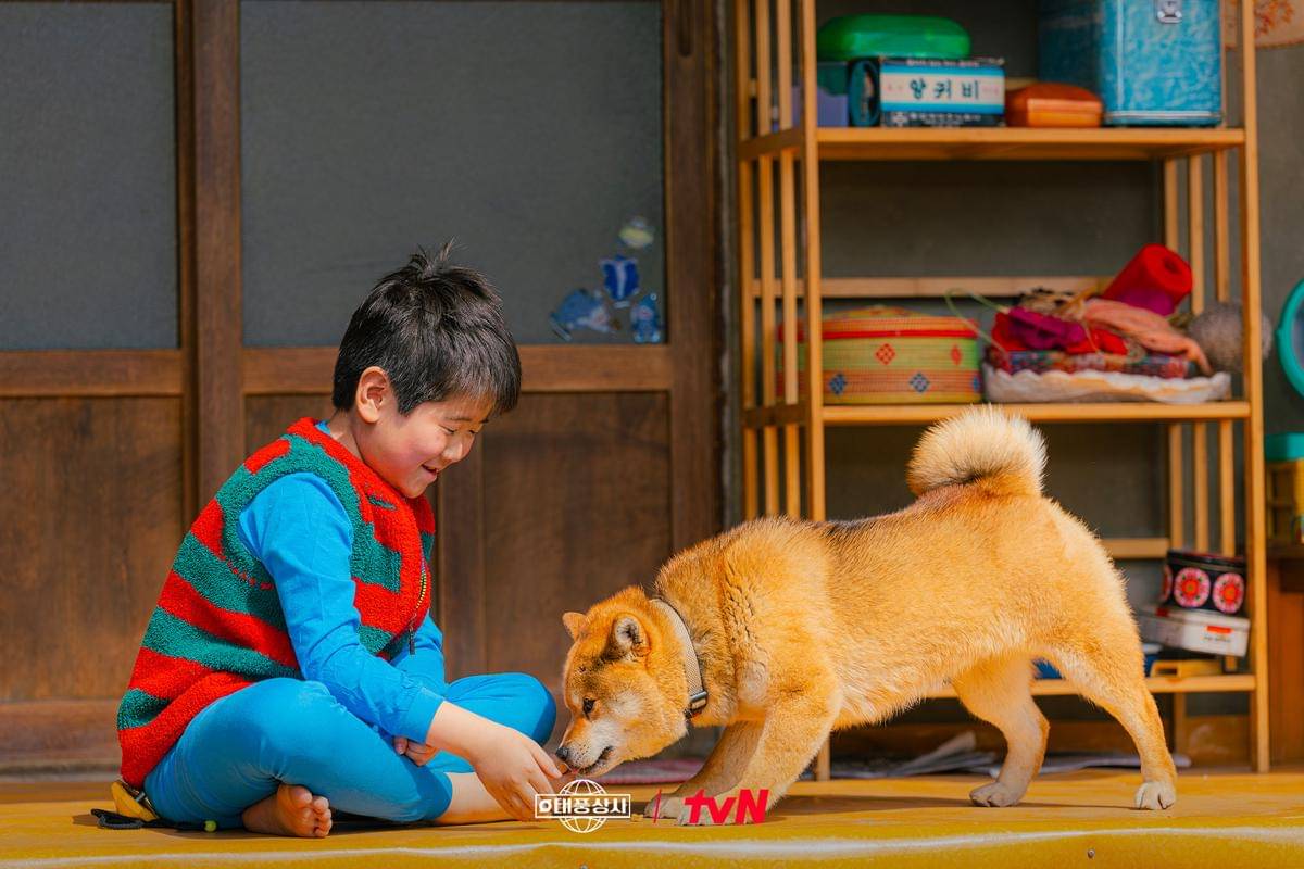 Kwon Eun Seong di Typhoon Family