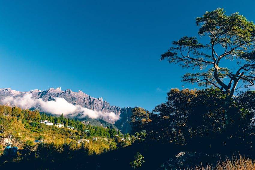 ilustrasi gunung kinabalu