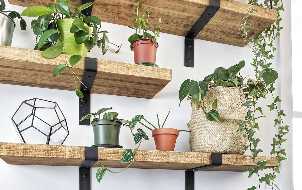 ilustrasi rak dari palet kayu bekas