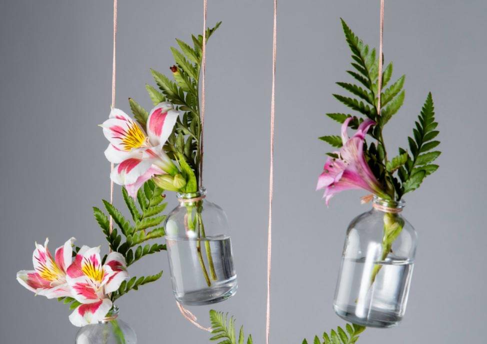 ilustrasi pot dari botol bekas