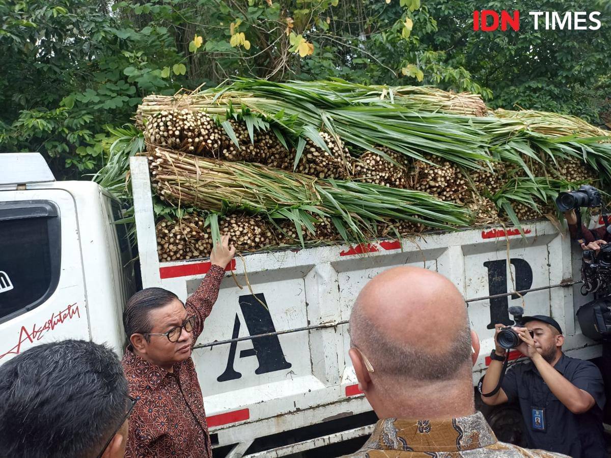 Pramono Anung mengecek kondisi ragunan