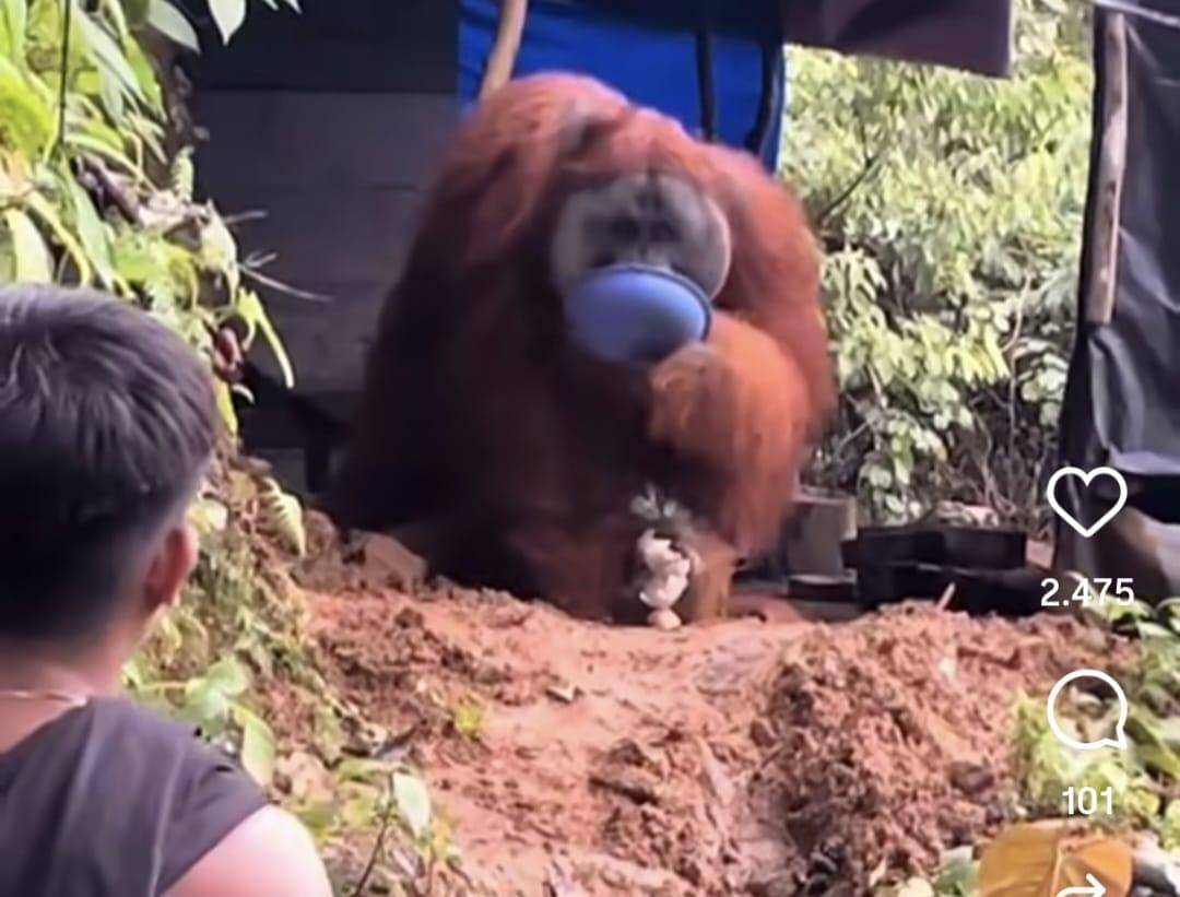 WhatsApp Image 2025-11-20 at 00.13.51.jpeg