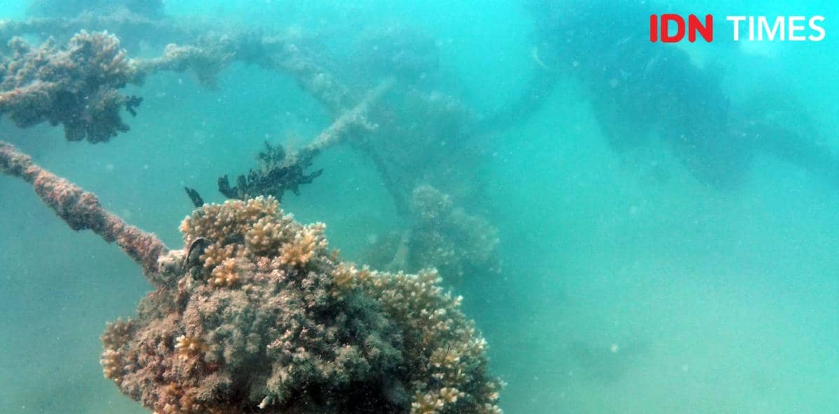 Terumbu karang buatan program reklamasi PT Timah di Pulau Putri, Provinsi Bangka Belitung (IDN Times/Doni Hermawan)