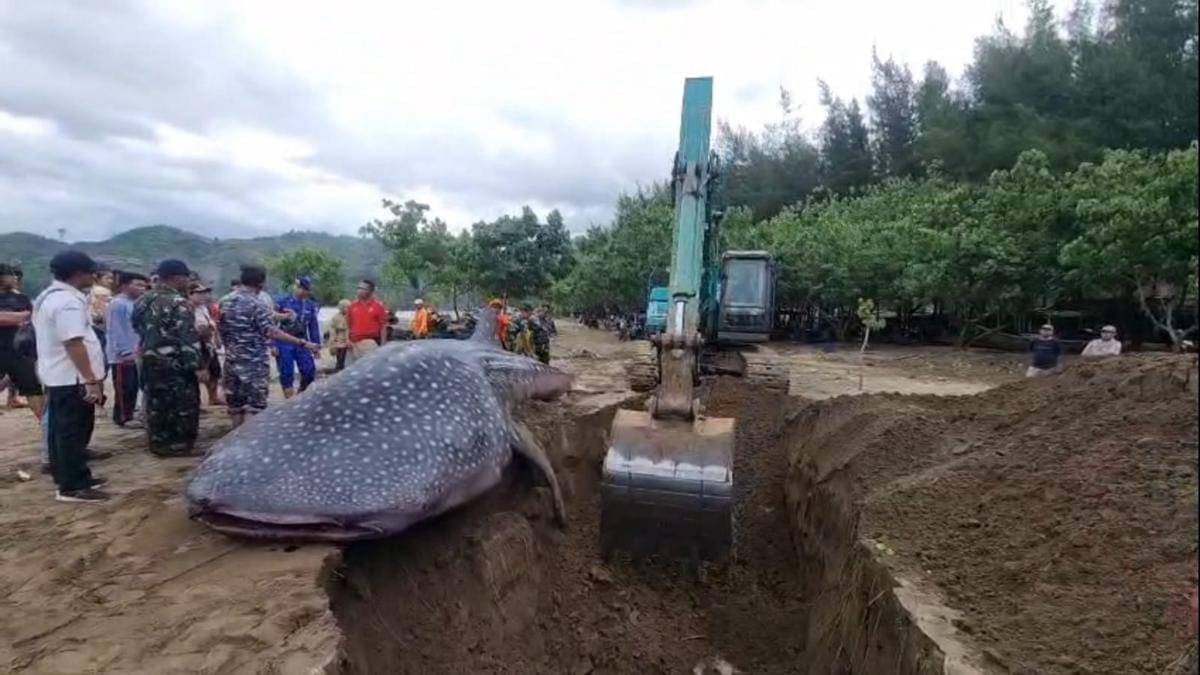 WhatsApp Image 2025-11-20 at 06.24.44 (1).jpeg