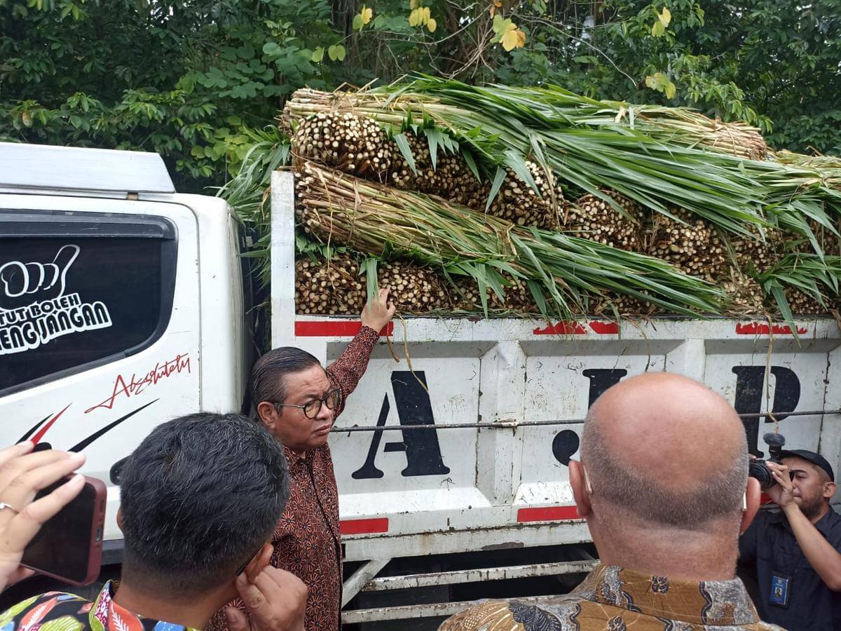 Pramono Anung mengecek kondisi ragunan