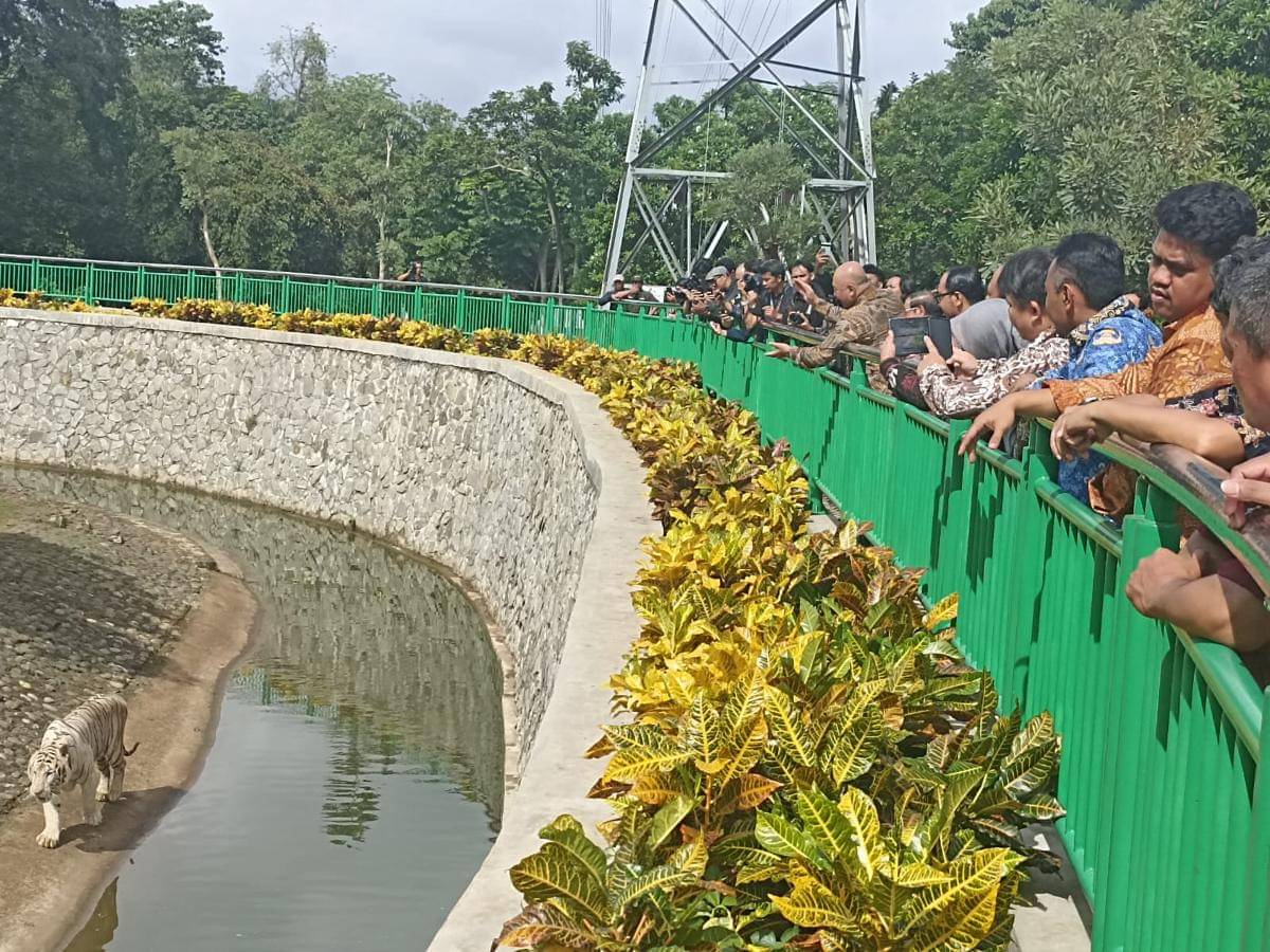 Pramono Anung mengecek kondisi ragunan