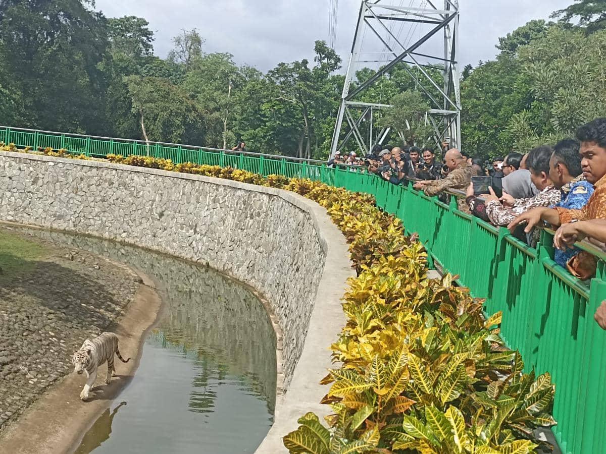 Pramono Anung mengecek kondisi ragunan