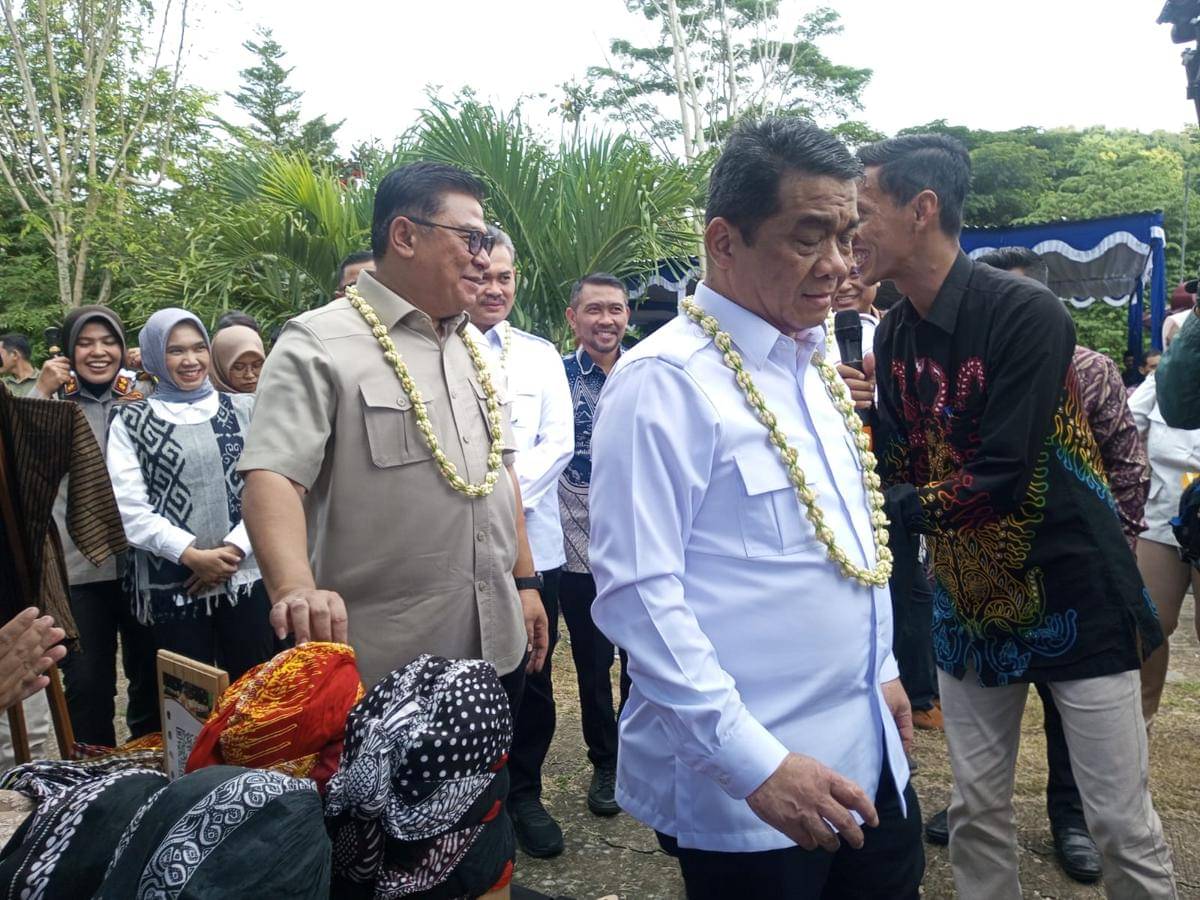 Wamendes: BUMDES Jangan Cuma Jadi Lembaga, Tapi Aktor Ekonomi Desa