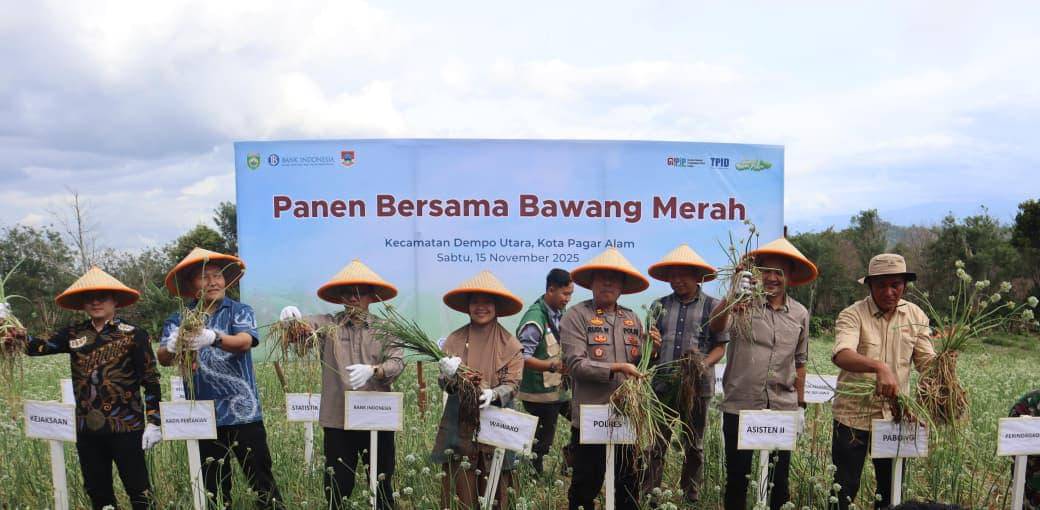 Panen bersama bawang merah di Pagar Alam (Dok. BI Sumsel)