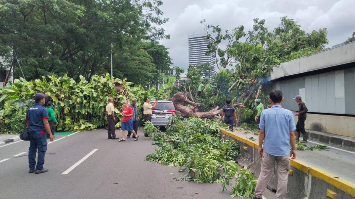 Pohon tumbang di Halte Masjid/ dok X@transjakarta