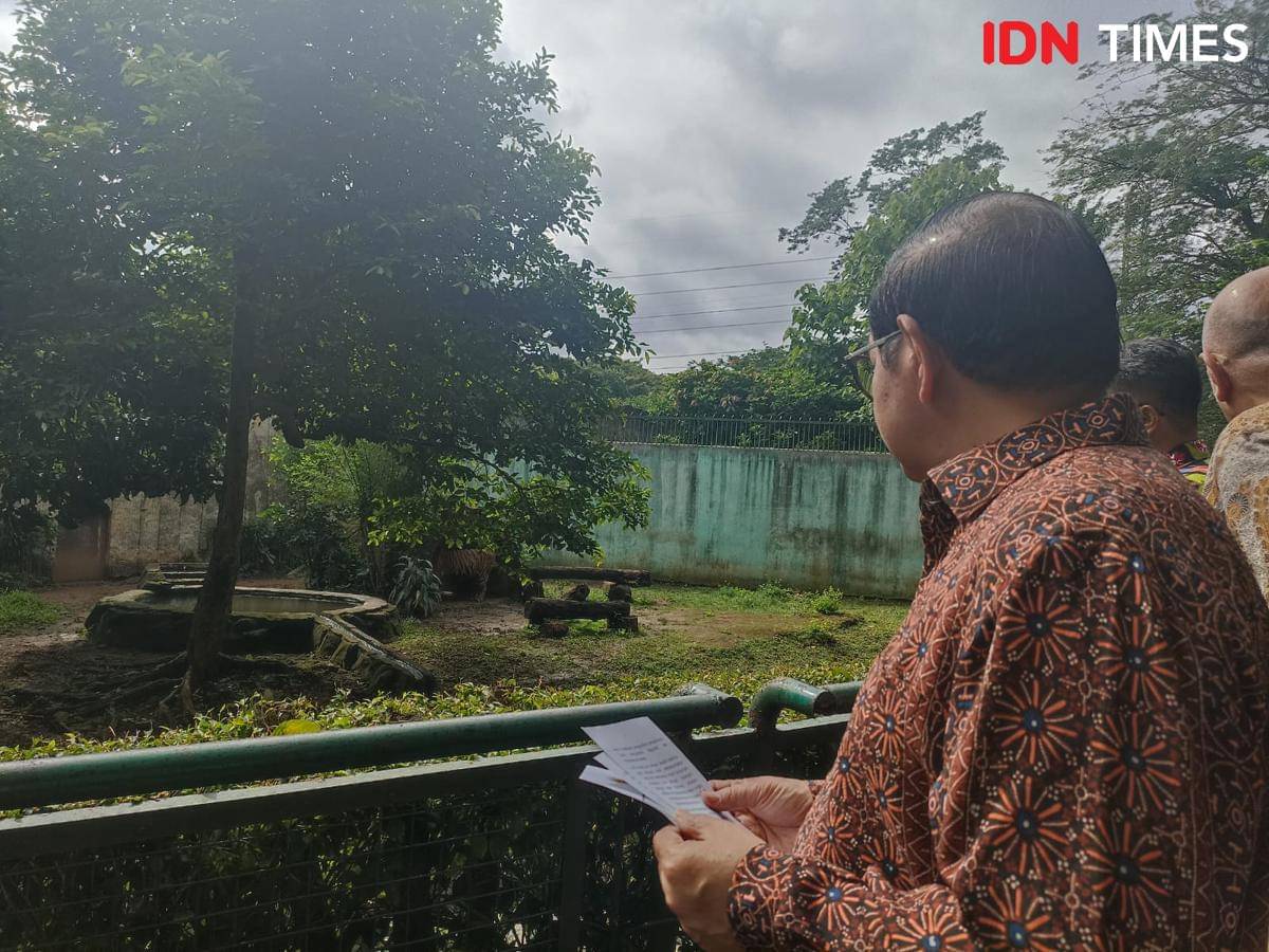 Pramono Anung mengecek kondisi ragunan