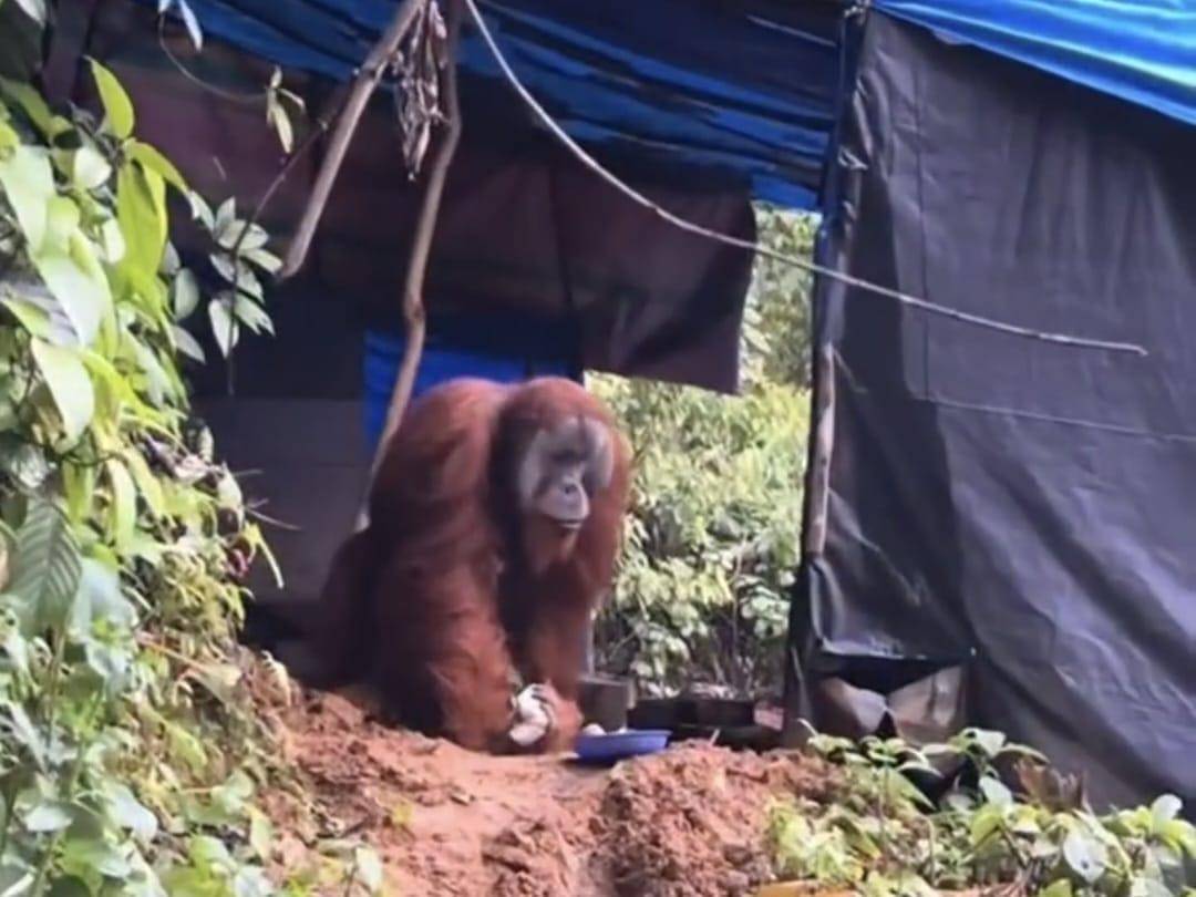 WhatsApp Image 2025-11-20 at 00.13.50 (1).jpeg