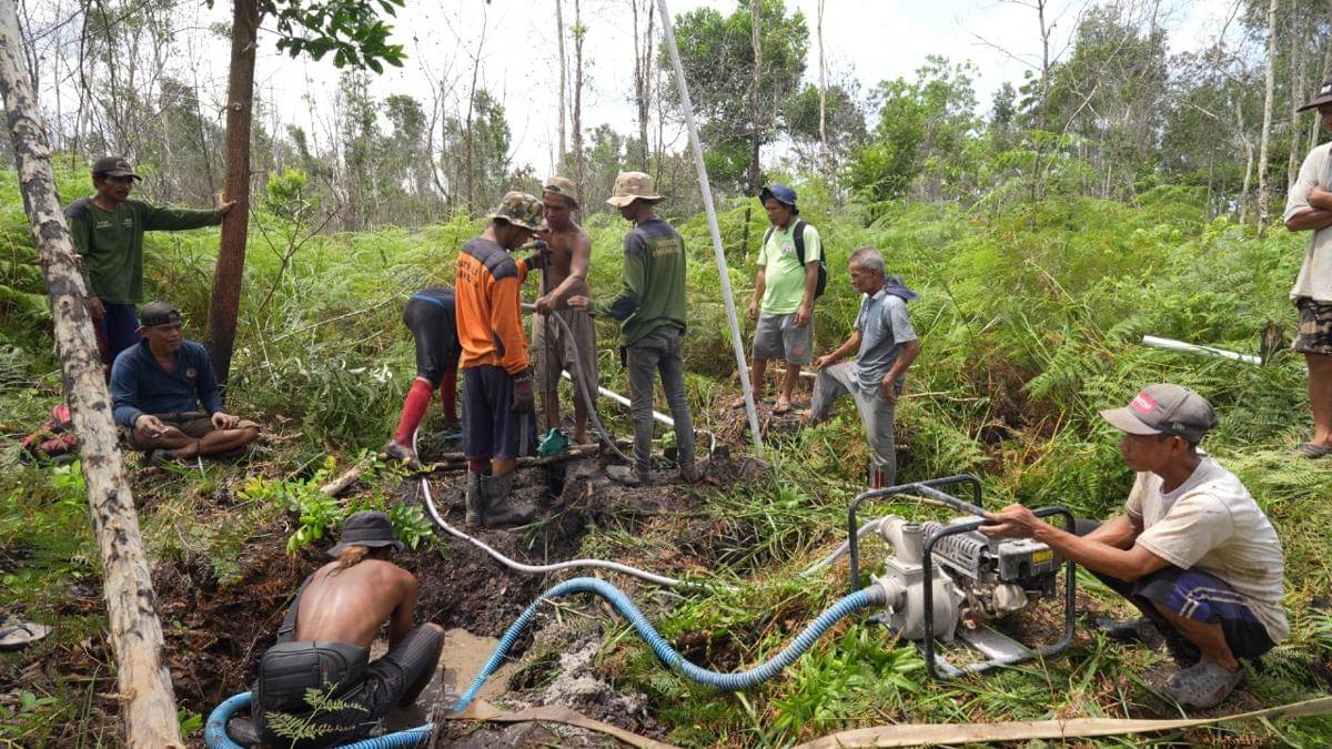 Ilustrasi aktivitas perhutanan sosial. (Dok. KPSHK)