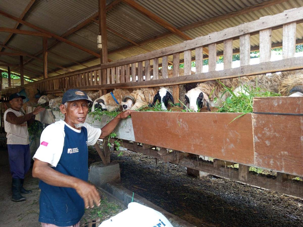 Wamendes: BUMDES Jangan Cuma Jadi Lembaga, Tapi Aktor Ekonomi Desa