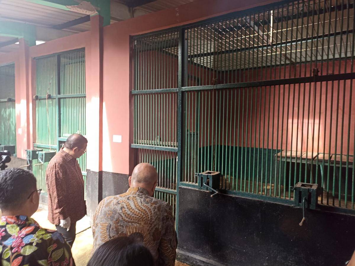 Pramono Anung mengecek kondisi ragunan