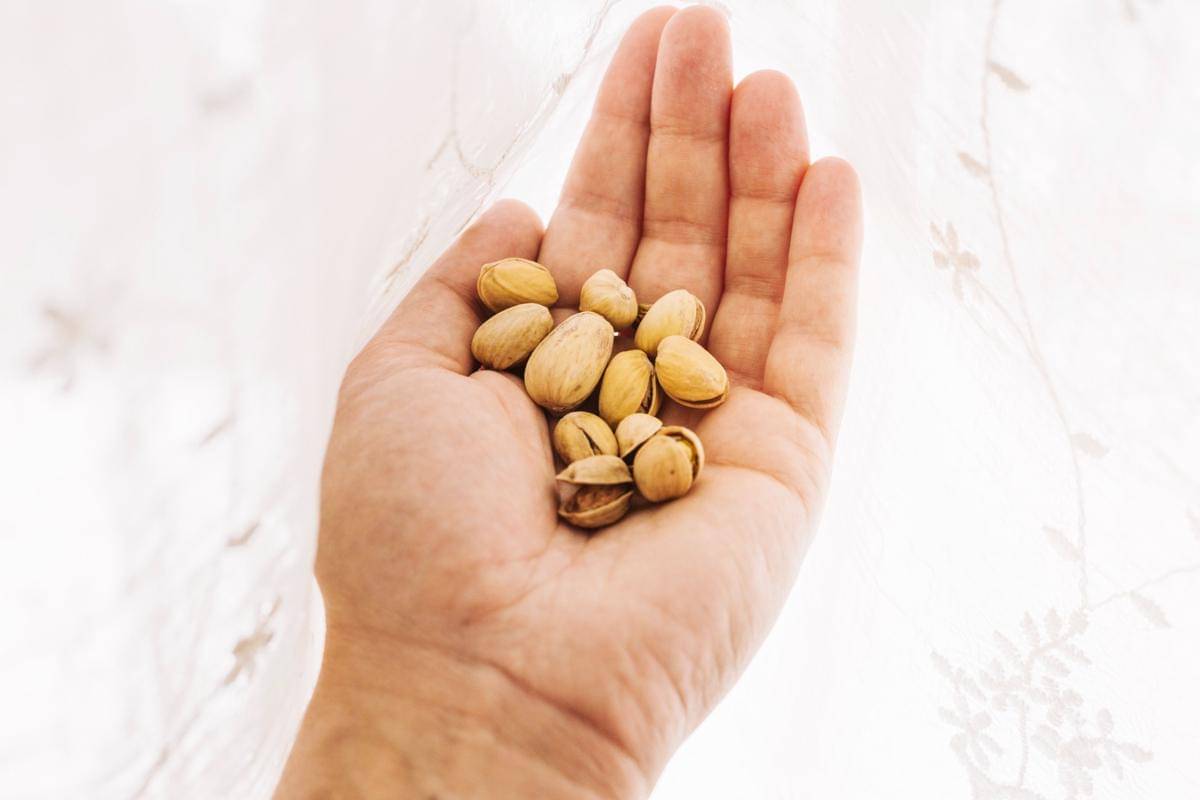 ilustrasi mengecek kesegaran pistachio