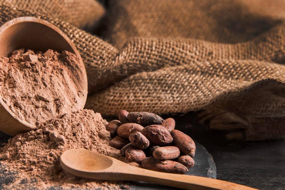 ilustrasi natural cocoa powder