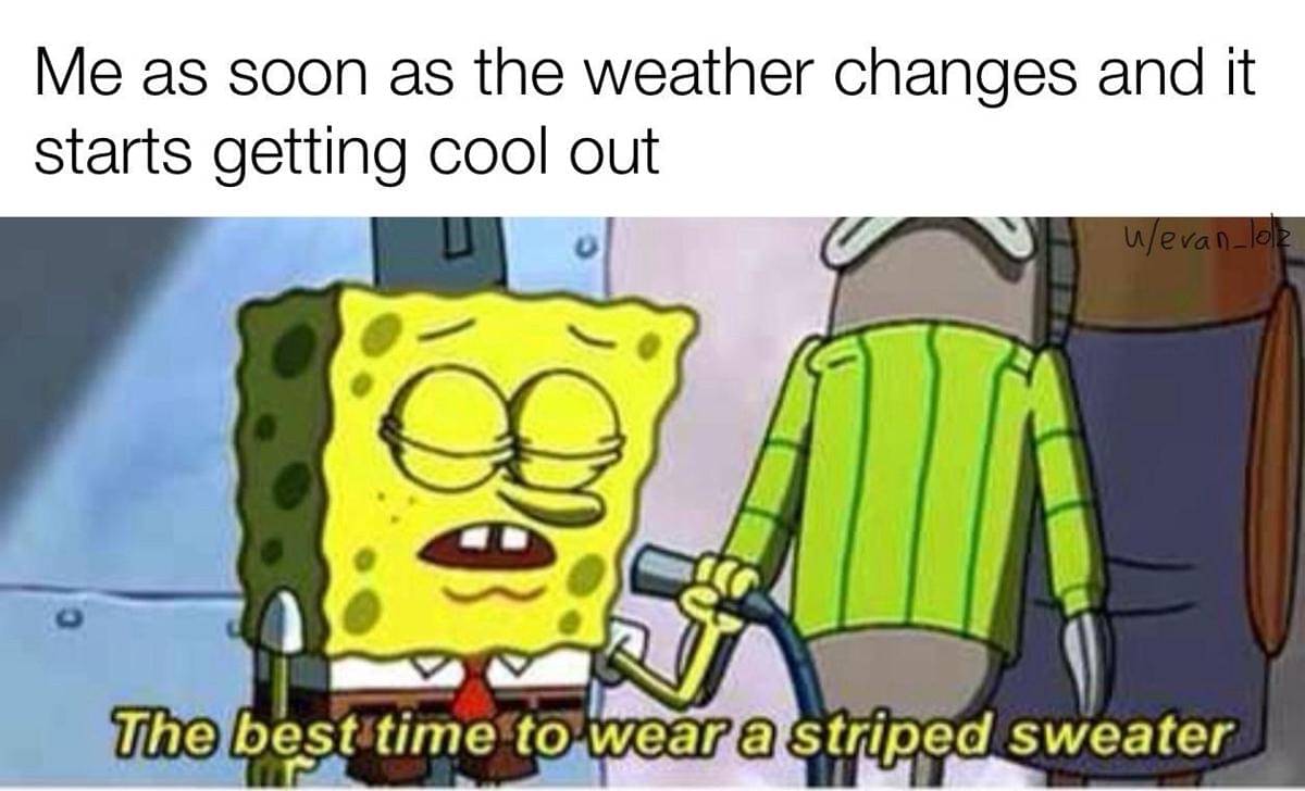 meme SpongeBob tentang sweater