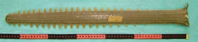 rostrum pari gergaji lancip yang multifungsi