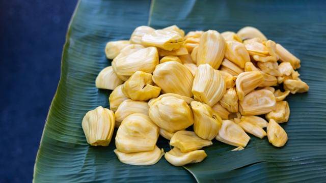 ilustrasi buah nangka