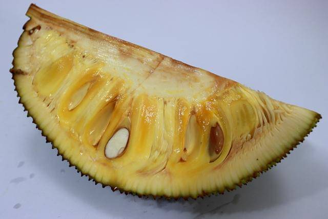 ilustrasi nangka potong