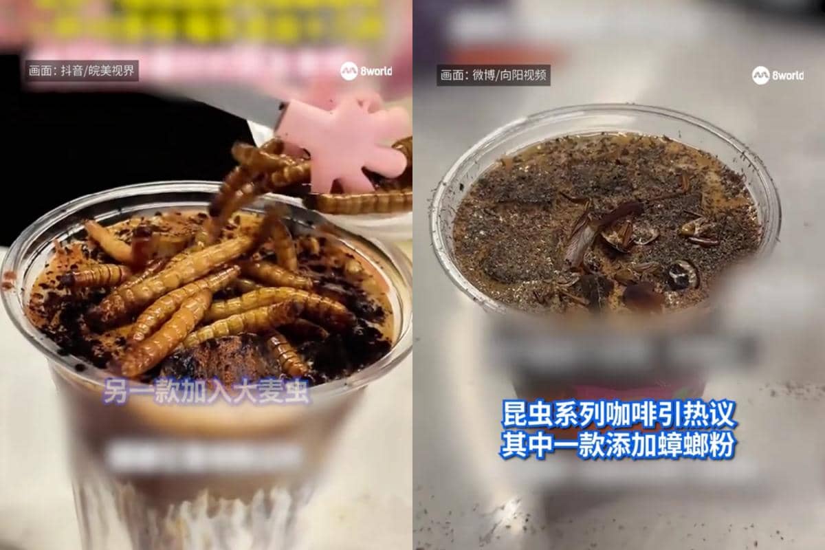 Potret tangkapan layar kopi kecoak 