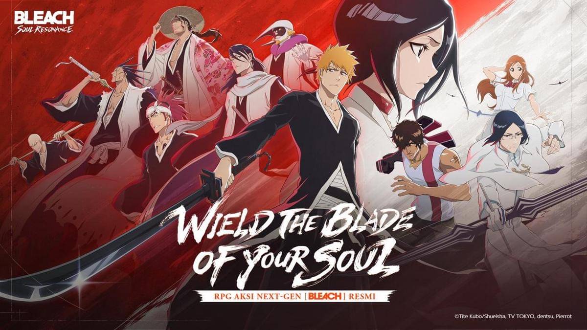 Bleach: Soul Resonance