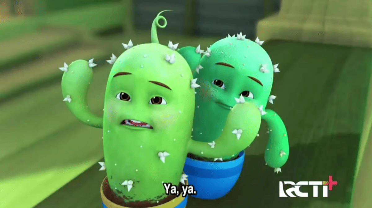 Tanaman Hias Upin Ipin, Kaktus Euphorbia