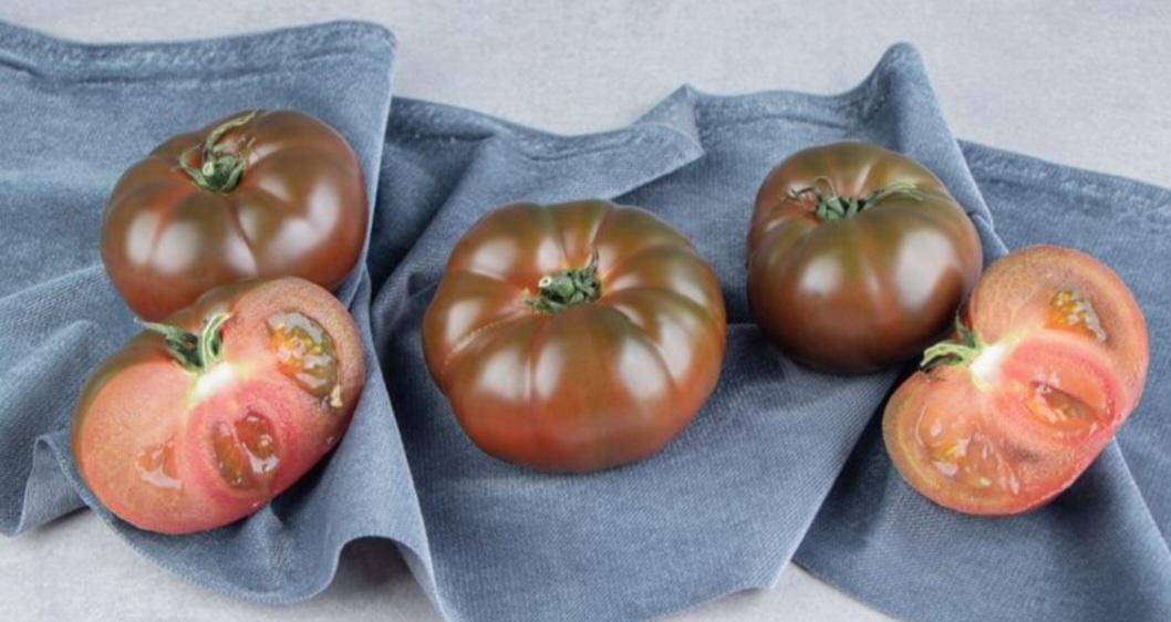 ilustrasi tomat mentah