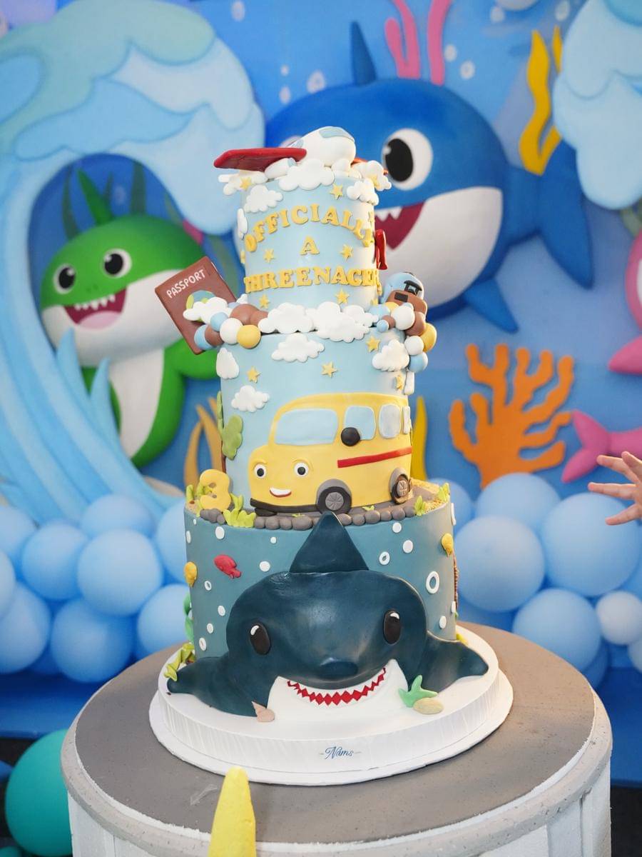 ulang tahun Isa anak Tasya Farasya (instagram.com/tasyafarasya)