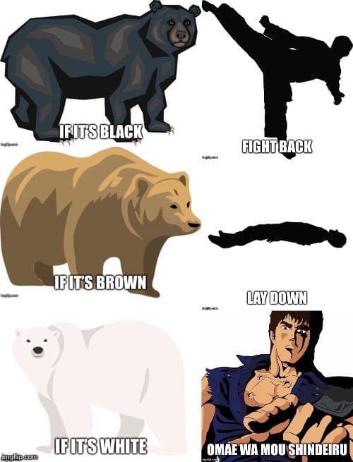meme anime tentang beruang