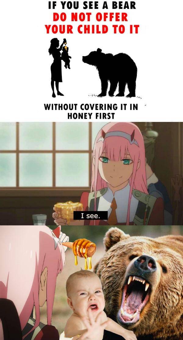 meme anime tentang beruang