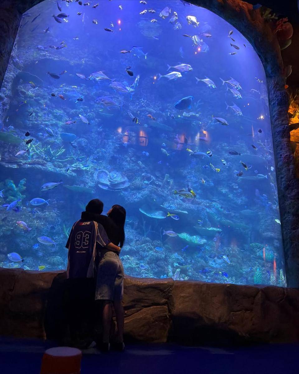 Ari Irham dan Taskya Namya aquarium date.