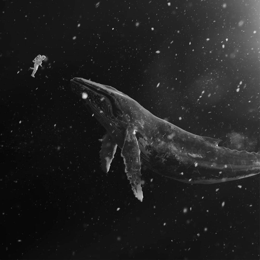 cover album Sing For You