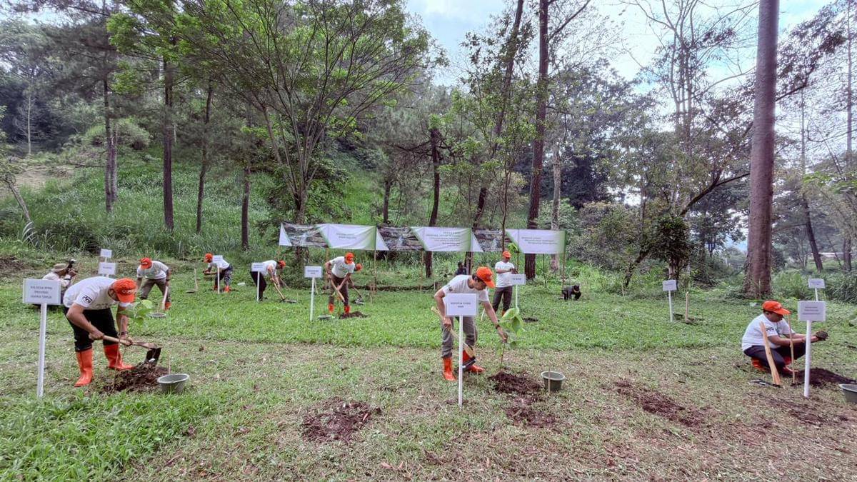 BNPB gelar acara tanam pohon di empat provinsi selama tiga hari. (Dok. BNPB)