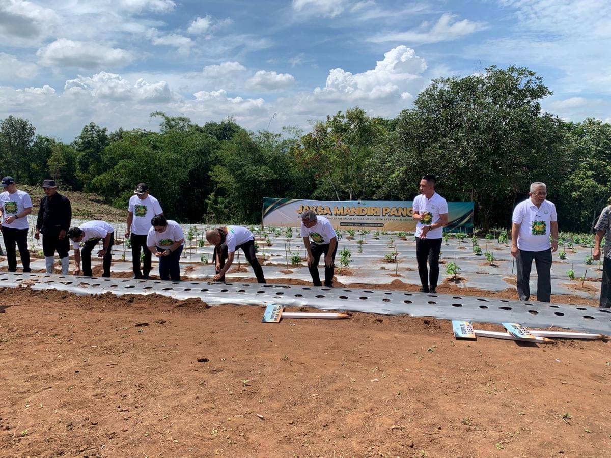 Kejaksaan Republik Indonesia meluncurkan program Jaksa Mandiri Pangan melalui penanaman bibit hortikultura cabai dan bawang merah di Desa Lebak Asih, Kecamatan Curugbitung, Kabupaten Lebak (IDN Times/Muhamad Iqbal)