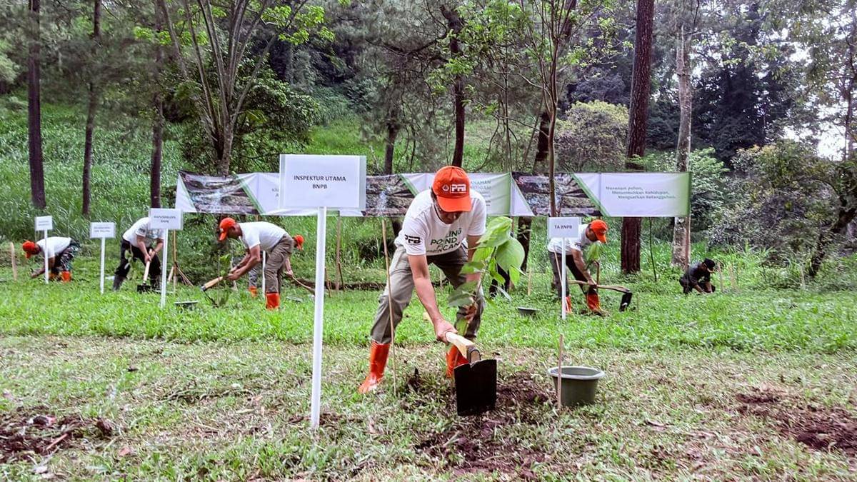BNPB gelar acara tanam pohon di empat provinsi selama tiga hari. (Dok. BNPB)