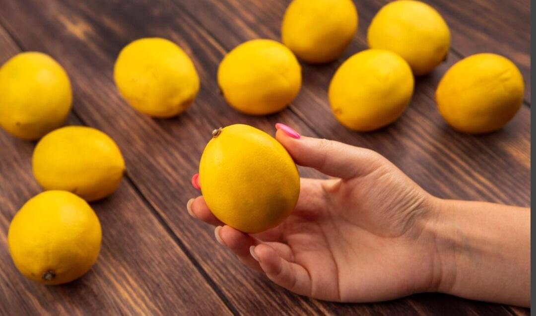 ilustrasi jeruk lemon