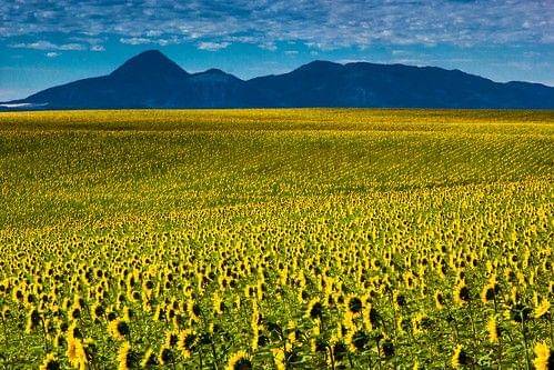 Ilustrasi sleeping ute mountain di Colorado